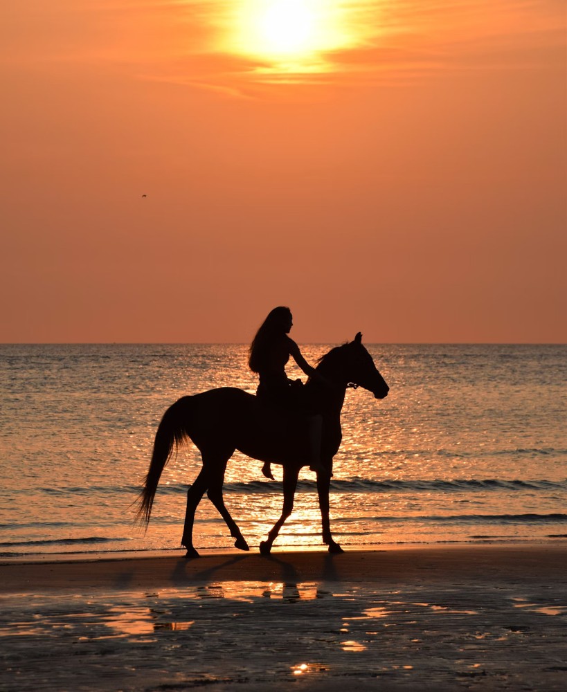 photo 1 Personalizzato