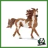 FARM - STALLONE PINTO