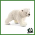 WILD - CUCCIOLO DI ORSO POLARE CHE CAMMINA
