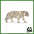 WILD - TIGRE BIANCA