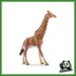 WILD - GIRAFFA MASCHIO