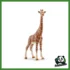WILD - FEMMINA DI GIRAFFA
