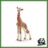 WILD - CUCCIOLO DI GIRAFFA