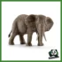 WILD - FEMMINA DI ELEFANTE AFRICANO