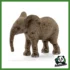 WILD - CUCCIOLO DI ELEFANTE AFRICANO