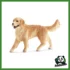 FARM - GOLDEN RETRIEVER FEMMINA