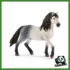 HORSE - STALLONE ANDALUSO