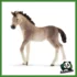 HORSE - PULEDRO ANDALUSO