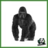 WILD - GORILLA MASCHIO