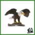 WILD - AQUILA DI MARE TESTABIANCA