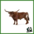 FARM - TORO TEXAS LONGHORN