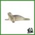 WILD - FOCA