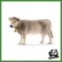 FARM - MUCCA BRUNA