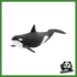 WILD - ORCA