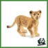 WILD - CUCCIOLO DI LEONE