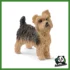 FARM - YORKSHIRE TERRIER