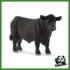 FARM - TORO BLACK ANGUS