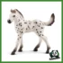 HORSE - PULEDRO KNABSTRUPPER