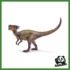 DINOSAURS - DRACOREX