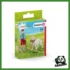 FARM - A PASSEGGIO CON IL LABRADOR