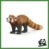 WILD - PANDA ROSSO