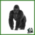 WILD - GORILLA MASCHIO