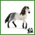 HORSE - STALLONE ANDALUSO