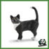 FARM - GATTO IN PIEDI
