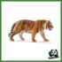 WILD - TIGRE