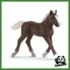 FARM - PULEDRO FORESTA NERA