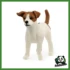 FARM - JACK RUSSEL TERRIER