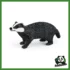 WILD - TASSO
