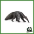WILD - FORMICHIERE