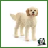 FARM - GOLDENDOODLE