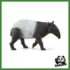 WILD - TAPIRO