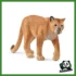 WILD - PUMA