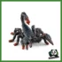 WILD - SCORPIONE IMPERATORE