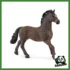 HORSE - STALLONE OLDENBURG