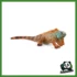 WILD - IGUANA