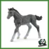 HORSE - PULEDRO TRAKEHNER
