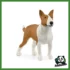 FARM - BULL TERRIER