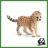 WILD - CUCCIOLO DI GHEPARDO
