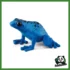 WILD - RANA FRECCIA BLU