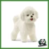 FARM - CANE BICHON FRISE'