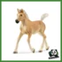 HORSE - PULEDRO AVELIGNESE