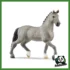 HORSE - STALLONE CHEVAL DE SELLE FRANCAIS
