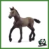 HORSE - PULEDRO PASO PERUANO