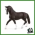 HORSE - GIUMENTA HANNOVER