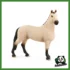 HORSE - CASTRONE HANNOVER BAIO LUPINO