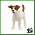 FARM - JACK RUSSELL TERRIER